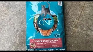 Purina ONE Natural Dry Cat Food Review
