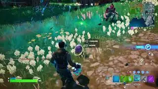 How to Gather Laid Eggs - Fortnite Quest