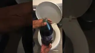 Will it Flush? - Grape Soda #review #surprise #asmr #soda #grape #shorts