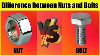Nut & Bolt | What are Nuts? | What are Bolts? | Difference Between Nuts and Bolts [Complete Guide]