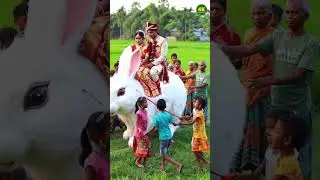 Bangladeshi Village Wedding on a Giant Rabbit 🐇 | 4K Ultra Realistic #weddingshorts