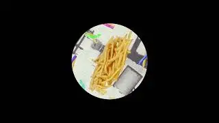 Ale Castro - Fries