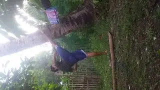DEXTER THE BEST IRON KICK PRACTICE