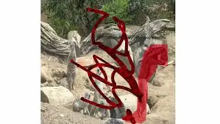 Mutated Meerkat sound effect