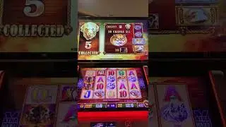 #casino #slots #buffaloslot #sando #ugh #freegames #slotmachine #fun