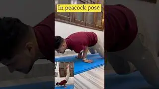 How to Do peacock pose  | arm balance Pose Tutorial #shorts #yogatutorial