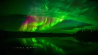 Aurora Borealis - Yoshi (Ft-SeanArts)