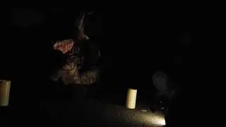 Investigating Reder Road (The Most Haunted Road in Indiana)