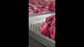 Why our lamb is so tender? This is why! #texasbbqbarn