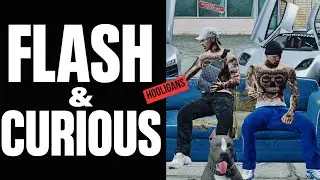 Hooligans - Flash & Curious
