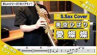 美空ひばり「愛燦燦」ソプラノサックスで吹いてみた！