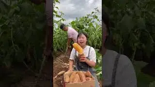 fruit ninja, fruit farm, fruit cutting and satisfying fruit cutting #shorts #short