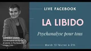 THÉORIE DE LA LIBIDO - PSYCHANALYSE POUR TOUS . 13 février 2024