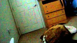 My Edited Video
