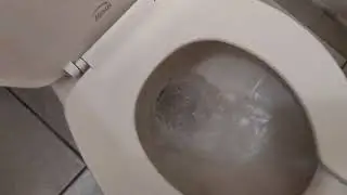 Procemex toilet at portal 911