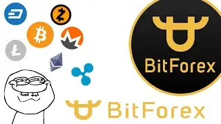 Bitforex- что это и как там зарегаться?
