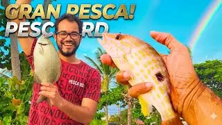Pesca en el malecon De Santo Domingo y Avenida España