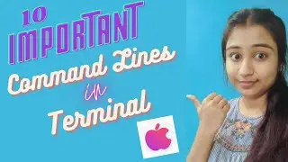 Basic and Important Command Lines | Terminal | Mac