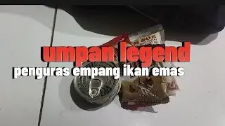 resep umpan ikan mas penguras empang | umpan ikan emas legend | umpan coklat