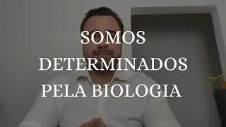 O que a neurociência diz sobre o livre-arbítrio
