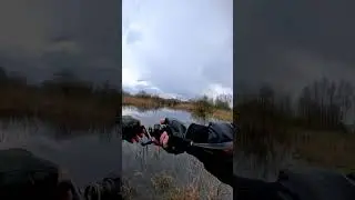 Shimano Zodias and Curado bfs combo.