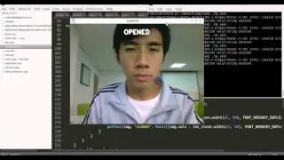 Eye Blink Detection