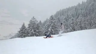 Bobsleding Terrier Max and his skiing Queen 1