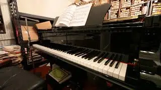 Pencil Papa Blues (Charles H. Booker) played by J. Lawrence Cook piano roll