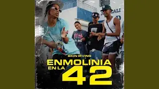Enmolinia En La 42 (feat. SkinirvinG)
