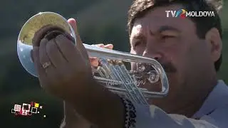 TRADIȚII cu Adam Stînga. Lansarea cărții 