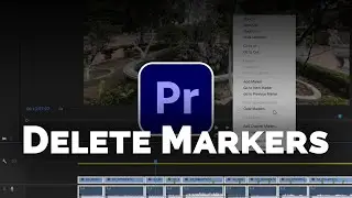 How to Remove Markers in Premiere Pro Timeline | Premiere Pro Tutorial | Video Editing Tips