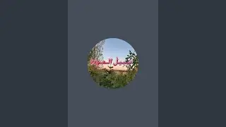 سبيـل الـمـودة est en direct !