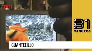 Guantecillo | 31 Minutos - T3E9
