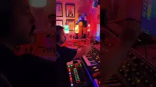 Roland-TR8S,Moog-Sub37,Korg-Monoloque,Behringer-TD3MO,Sonicware-Ambient0 #techno #electronicmusic
