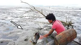 Island Survival Only Using My Bare Hands To Catch Big Mud Crabs In Mangrove Forest