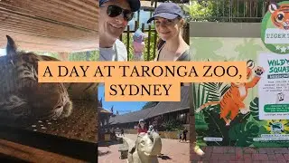 Taronga Zoo, Sydney, Australia, A Day out with the kids