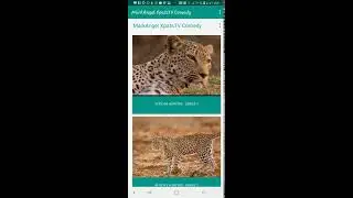 Mark Angel Comedy Android Mobile App Demo