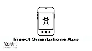 Soynomics: Insect Smartphone App | (When Scientists Team with Engineers)