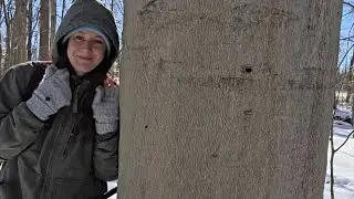 Неудачная прогулка и разговор о деревьях