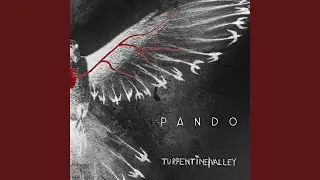Pando