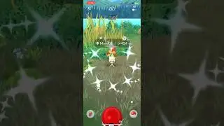 Shiny morelull in Pokemon go #pogo #pokemon #pokemongo #shiny #shinypokemon