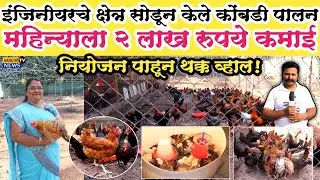 इंजिनीयरचे क्षेत्र सोडून केले गावरान कोंबडी पालन | महिन्याला 2 लाख कमाई | नियोजन पाहून थक्क व्हाल! 🐔