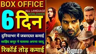 O Romeo Box Office Collection, Shahid Kapoor, Tripatii Dimri, O Romeo Worldwide Collection Day 6,