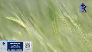 Korunka Božieho milosrdenstva a Krížová cesta z Lagiewnikov
