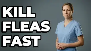 How Can I Clean My Home To Kill Fleas?