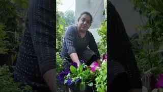 Doctor ne di Dawai ki jagah ye 3 Paudhe! Mumma&rsquo;s Secret to Good Health #shorts