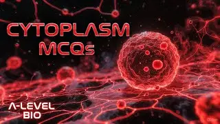 A-Level Biology: Cytoplasm MCQs with Answers (High-Scoring Revision!)