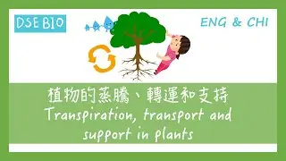 [DSE BIO - 課文重點] 30分鐘講完【植物的蒸騰、轉運與支持 Transpiration, transport and support in plants  】！