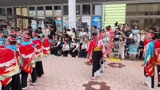 京町新京橋「えびすしばてん連」 高知よさこい祭り 20250810 帯屋町競演場