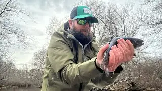 Fishing The Connetquot River in Long Island